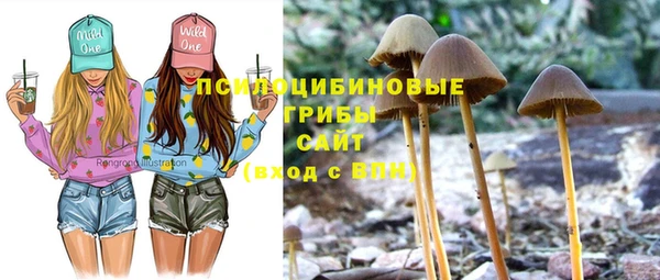 MDMA Гусь-Хрустальный